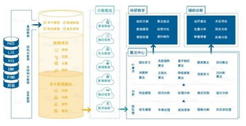 雅森科技陳暉 十年求索，探路醫(yī)療AI的上海實踐與需求邊界